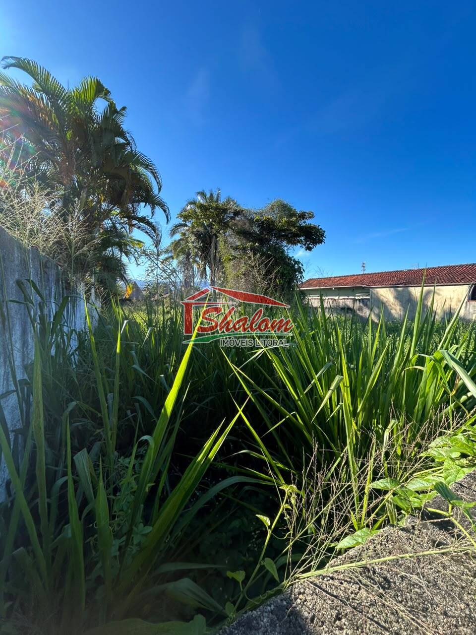 Terreno, 500 m² - Foto 3